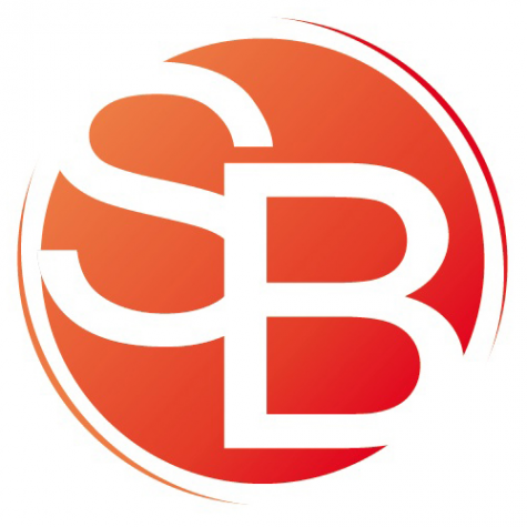 Логотип компании Стройбург